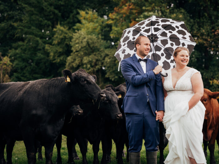 LINE TSOJ FOTOGRAFIE / Hochzeit im Wendland