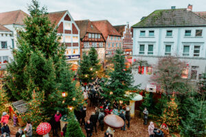 Line Tsoj Fotografie, Wintermärchen Buxtehude